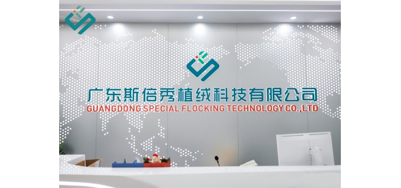 廣東斯倍秀植絨科技有限公司弱電智能化項目